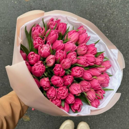 Peony Tulips (Premium Double Tulips)