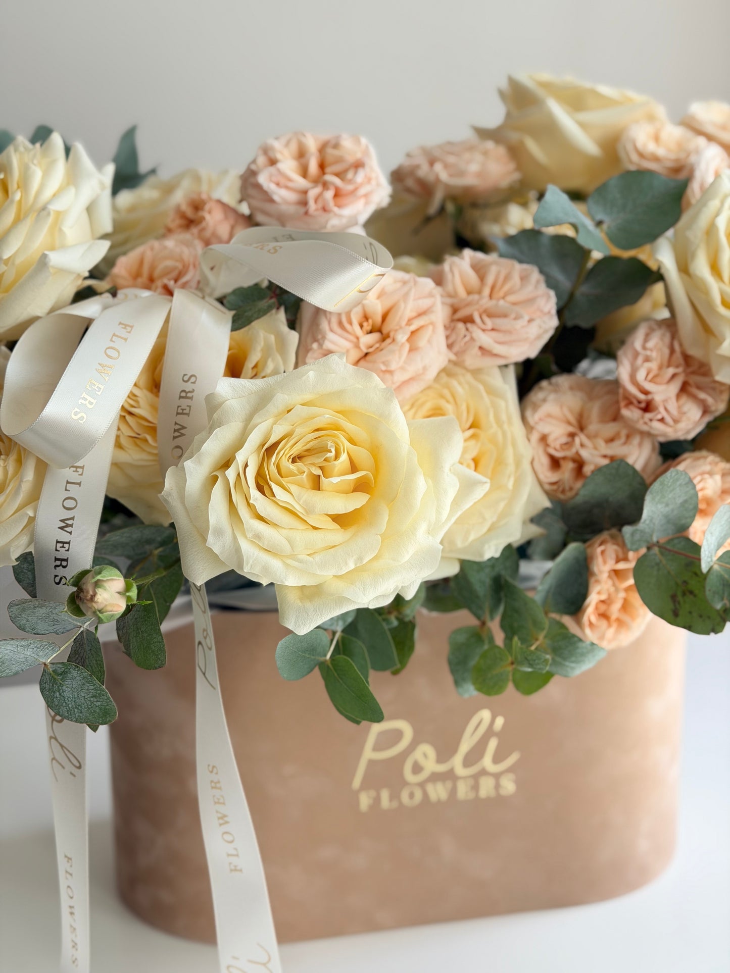 Champagne Blush