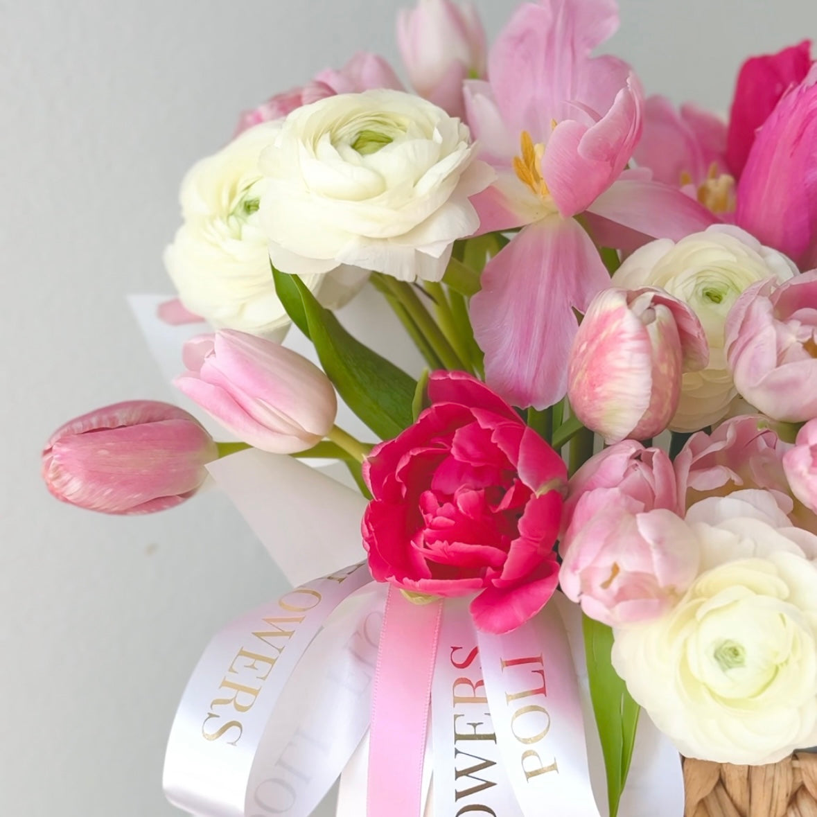 Rosy Spring
