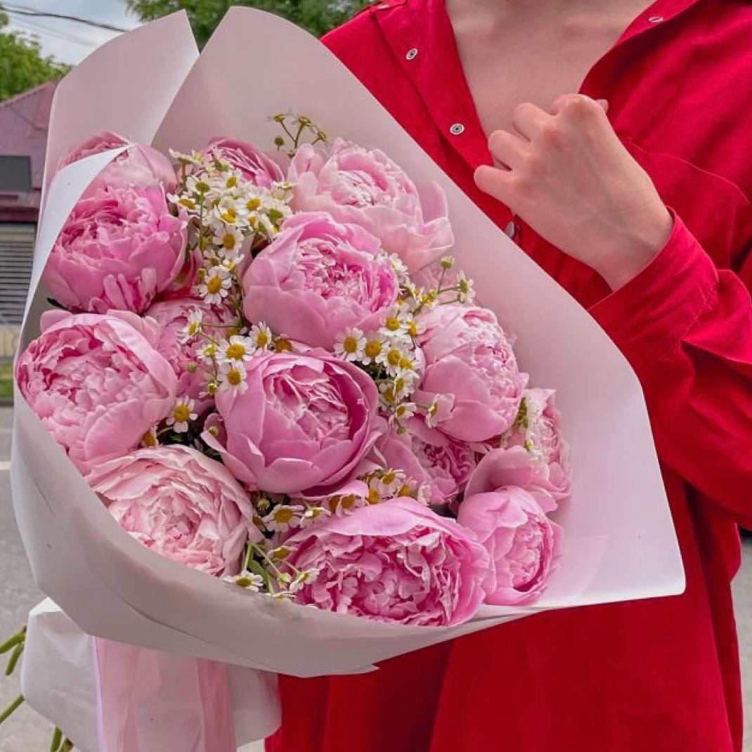 Peony & Daisy Dream