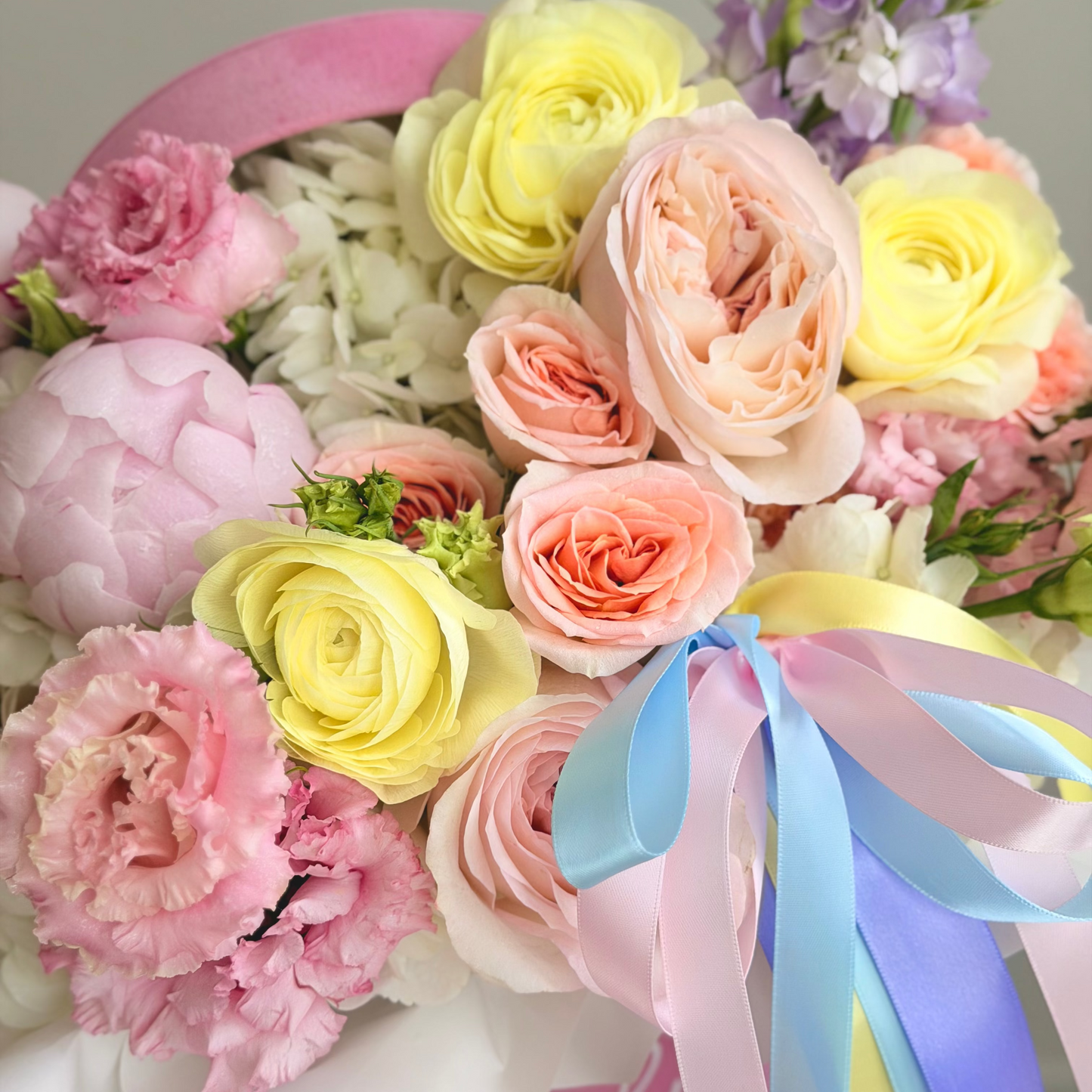 Pastel Dream Box