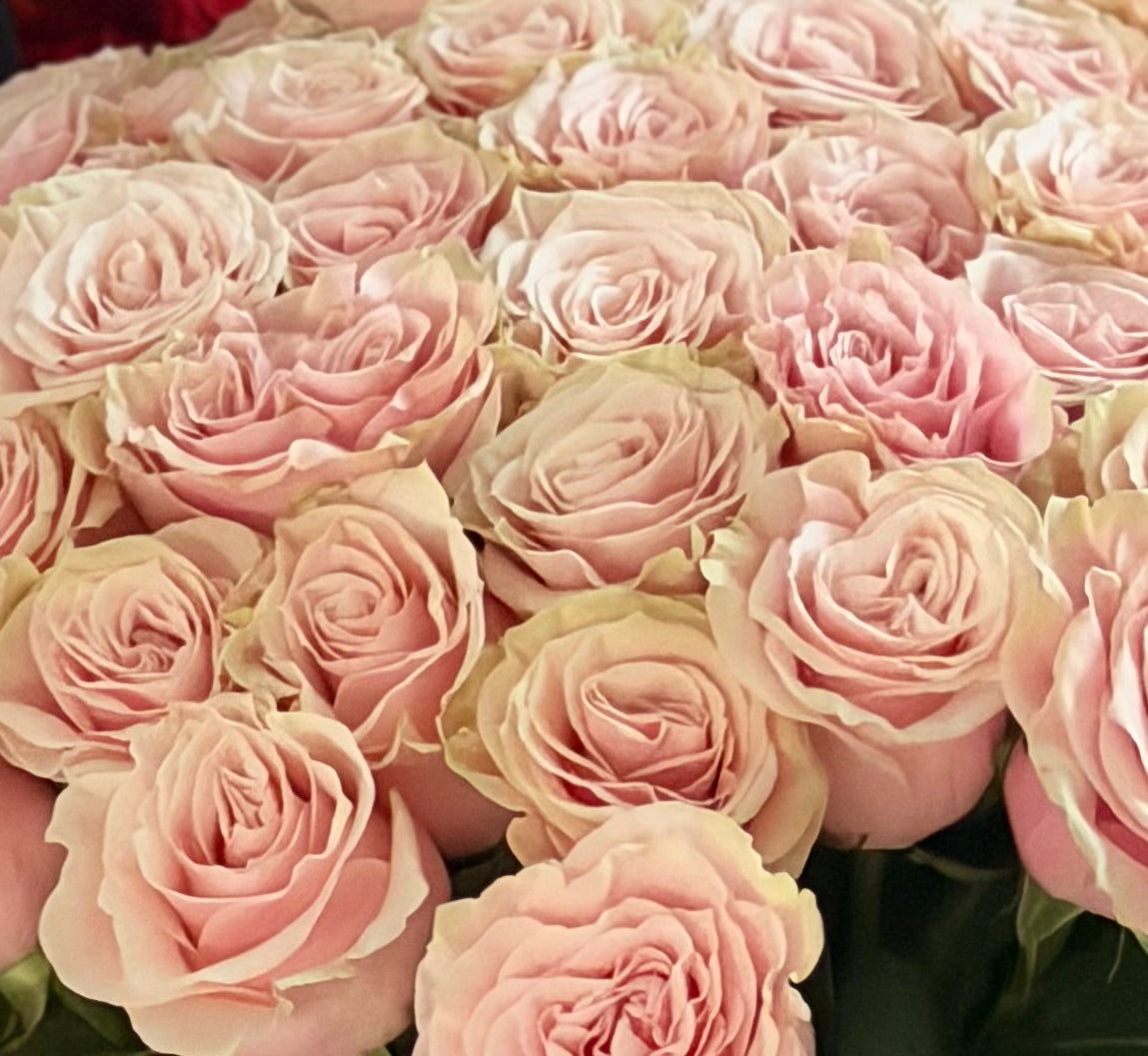 Pink Mondial Roses Bouquet