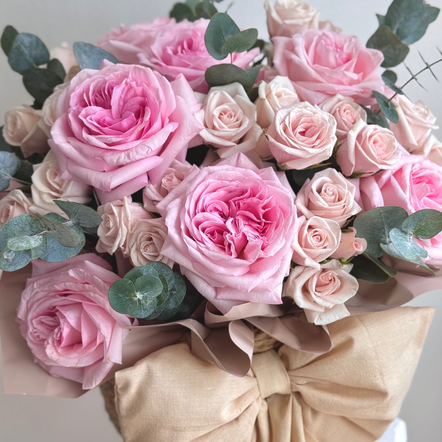 Pink O’Hara Elegance