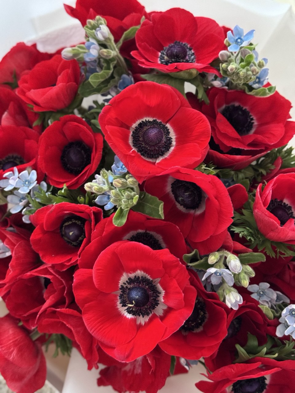 Royal Bloom