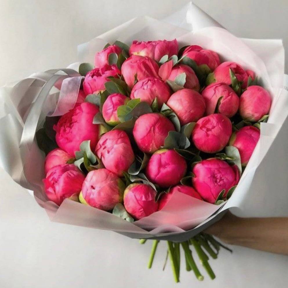 Coral Peonies Crush