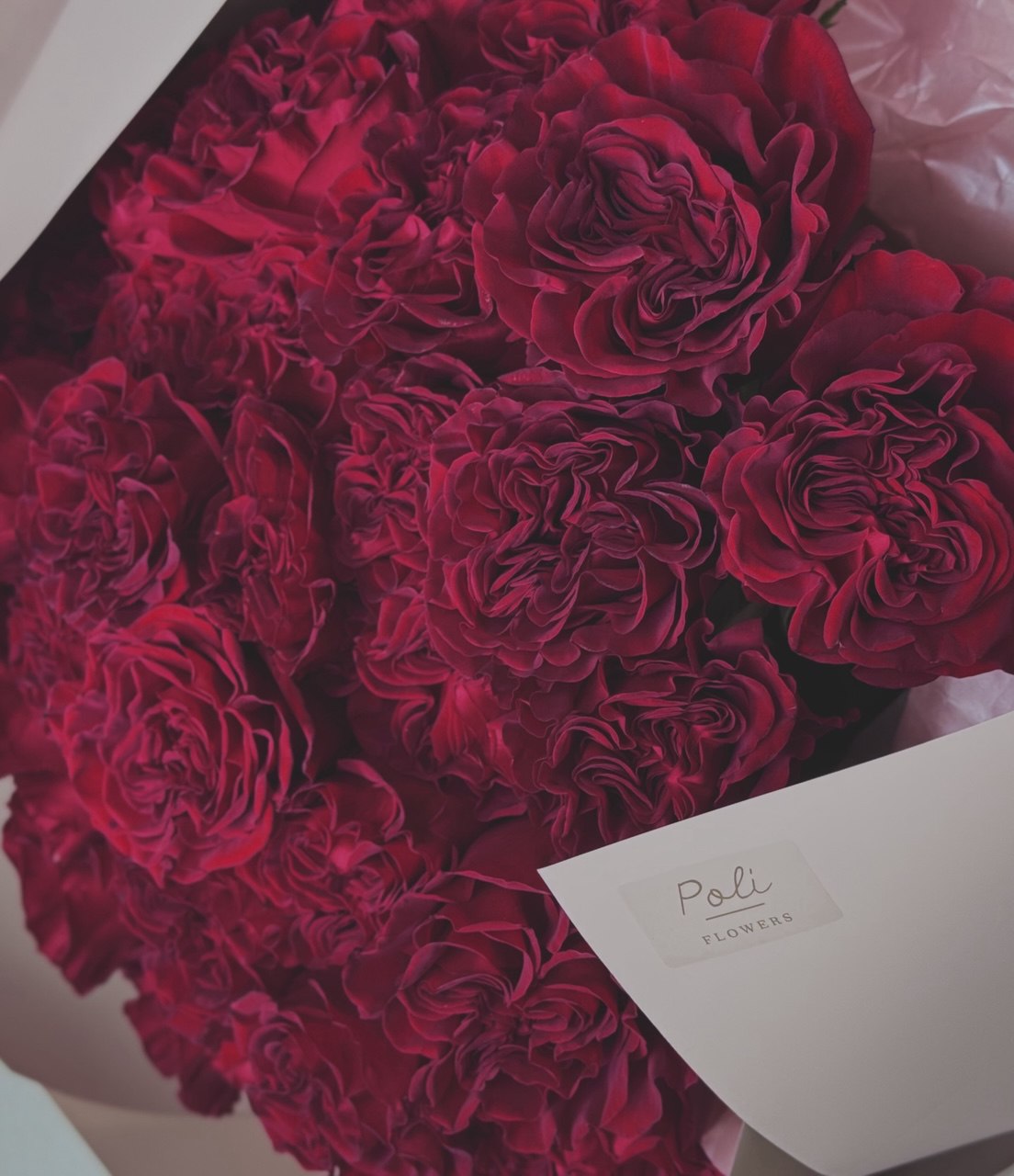 Velvet Roses