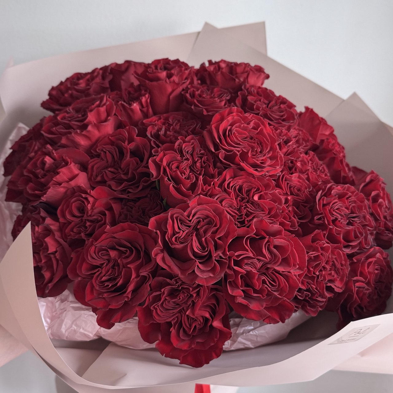 Velvet Roses
