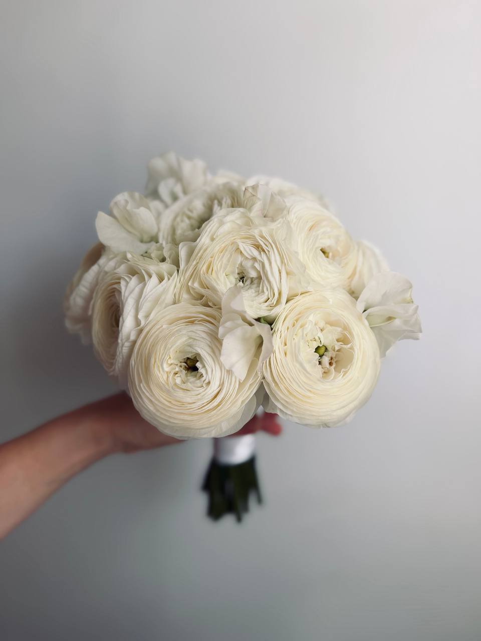 Pure Bloom