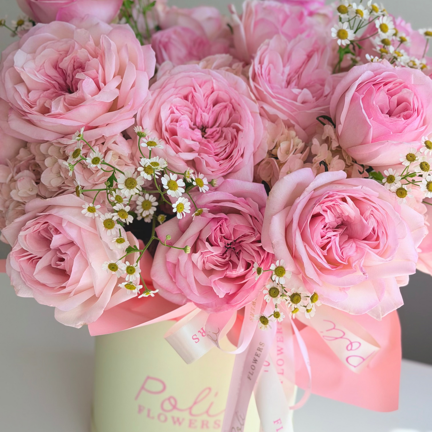 Pink Soufflé