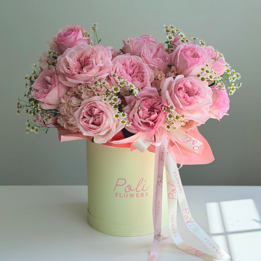 Pink Soufflé