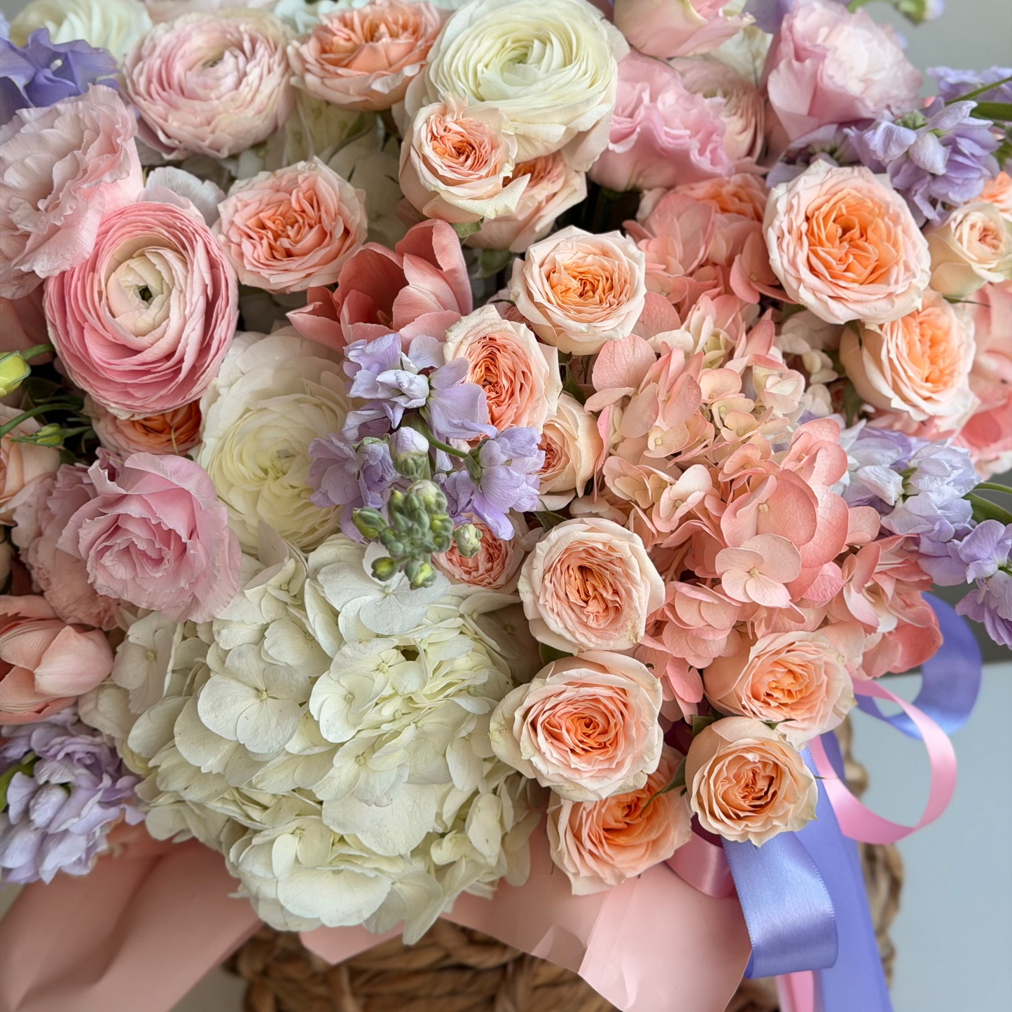 Soft Spring Dream
