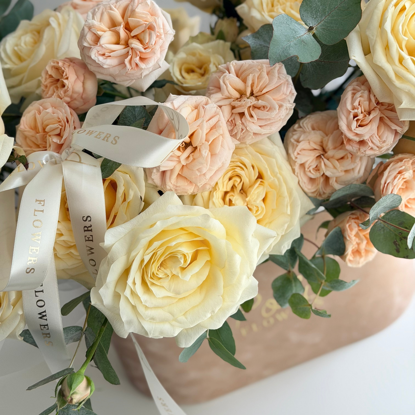 Champagne Blush