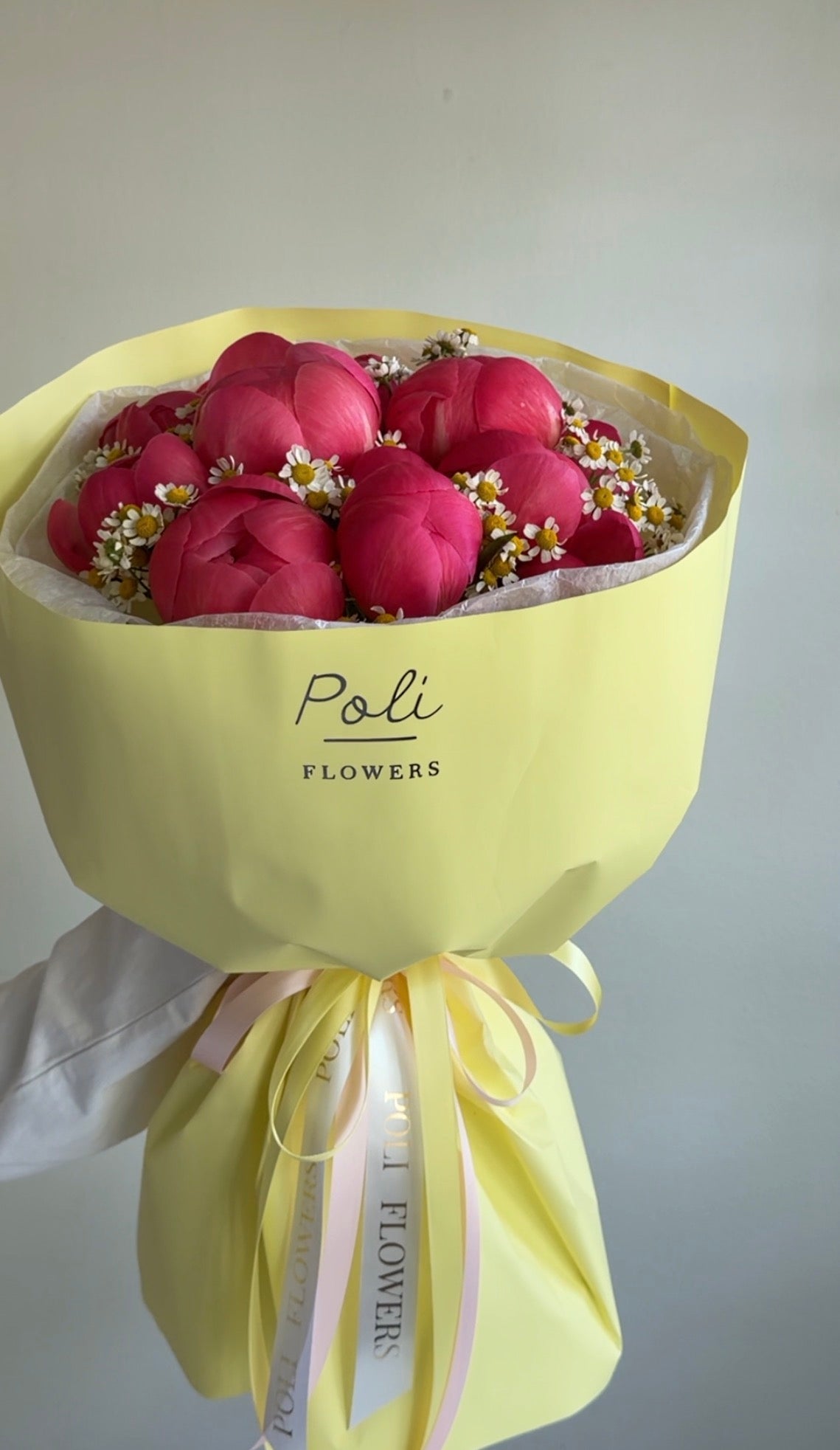 Coral Peony Dream