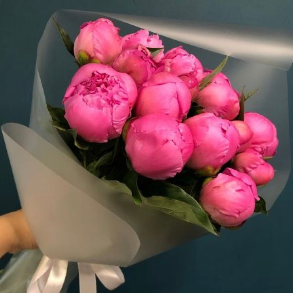Coral Peonies Crush