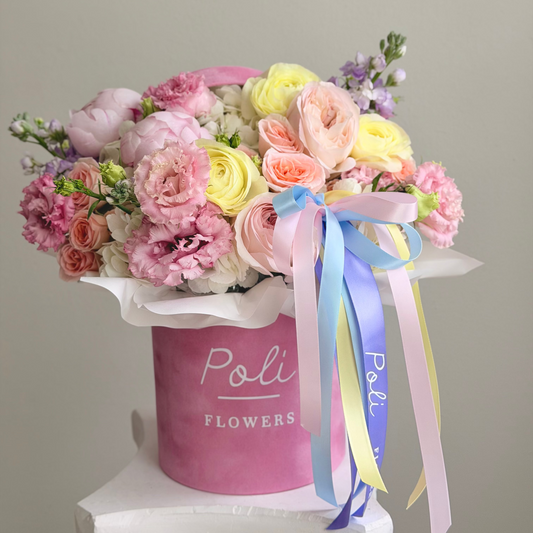 Pastel Dream Box