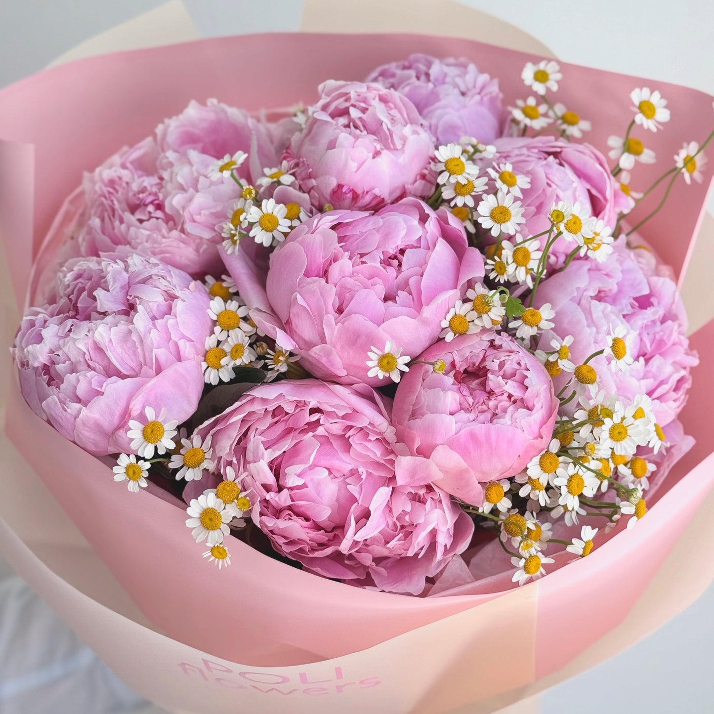Peony & Daisy Dream