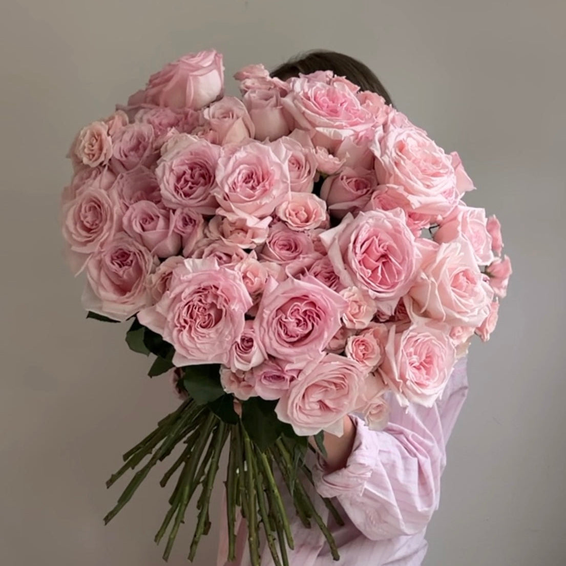 Pink O’Hara Dream