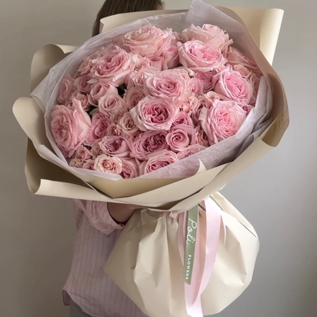 Pink O’Hara Dream