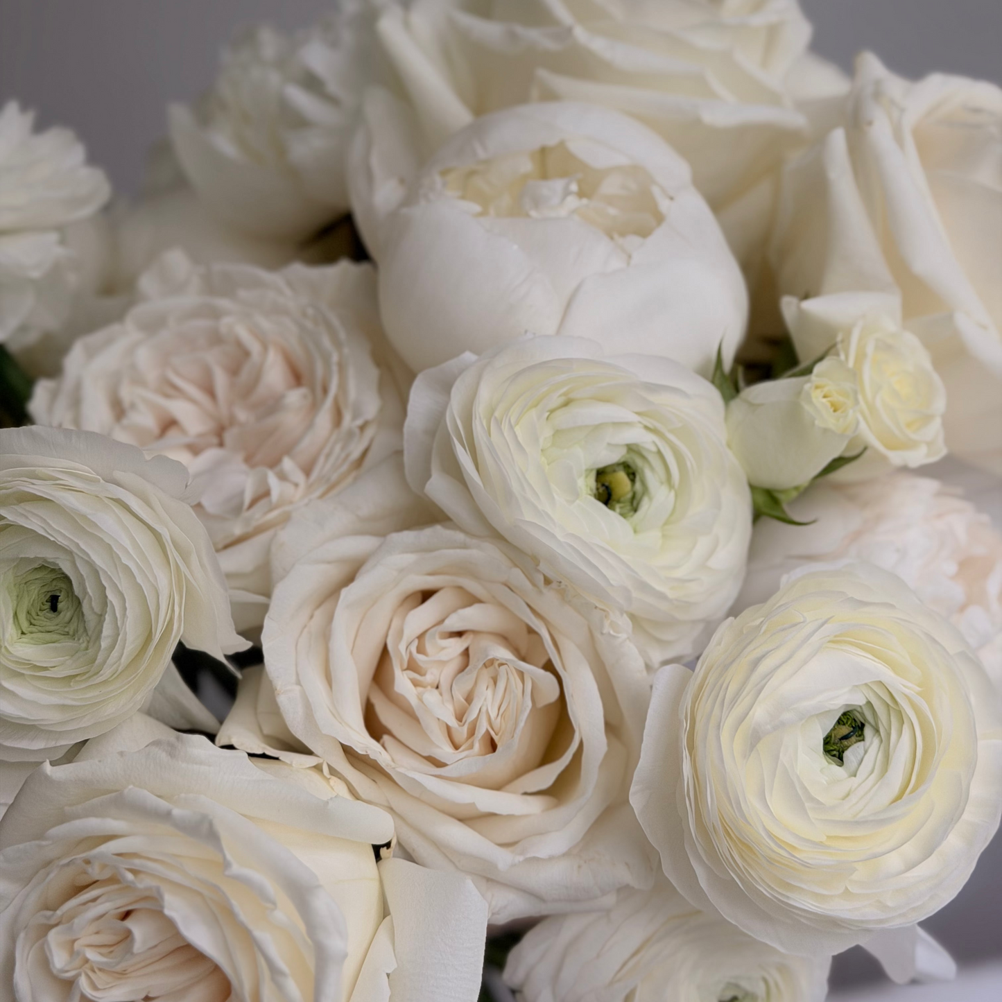 White Bridal Dream