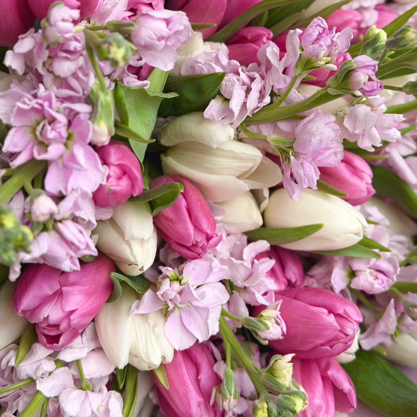 Bouquet “Velvet Tulips”