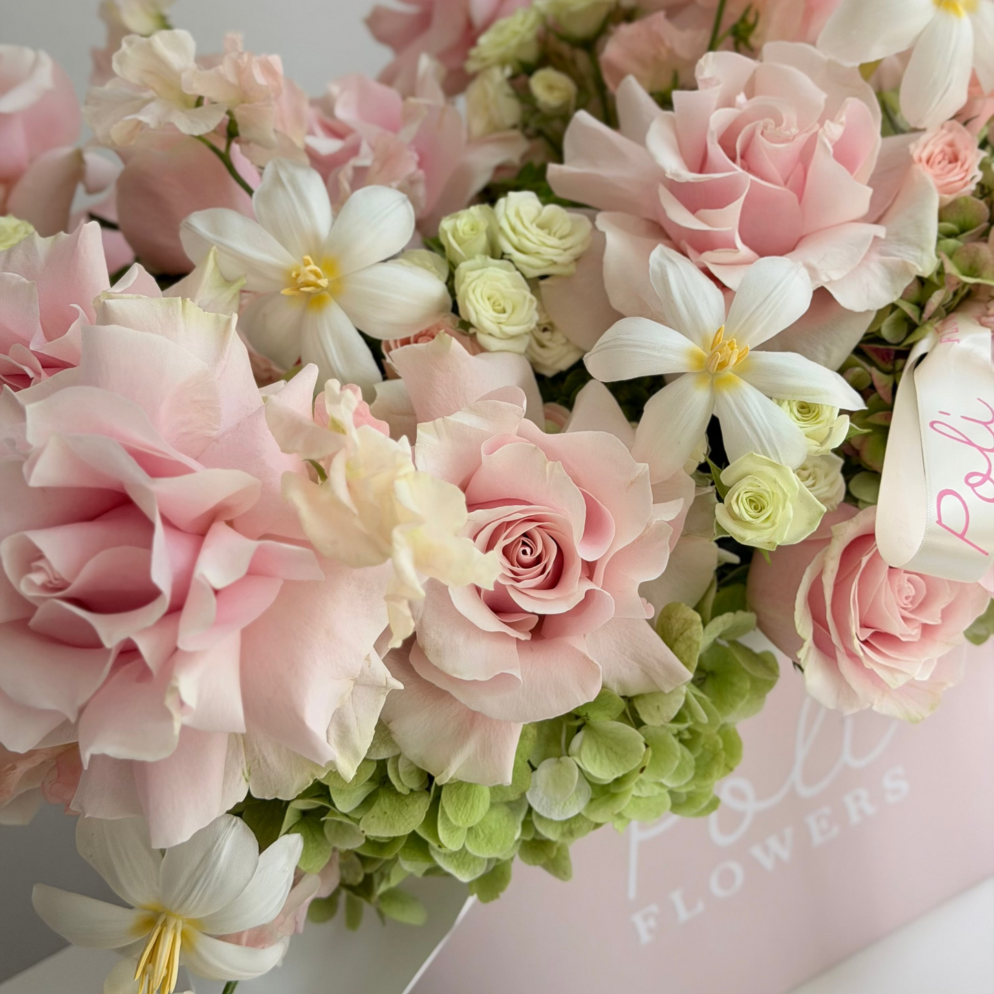 Blush & Bloom
