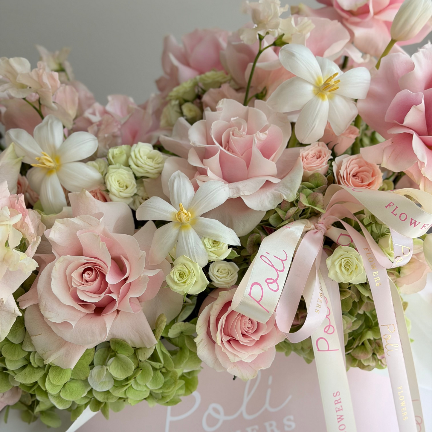 Blush & Bloom