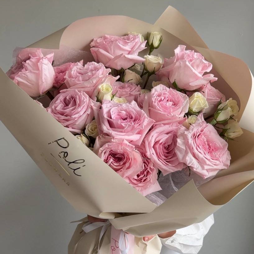 Pink O’Hara Dream
