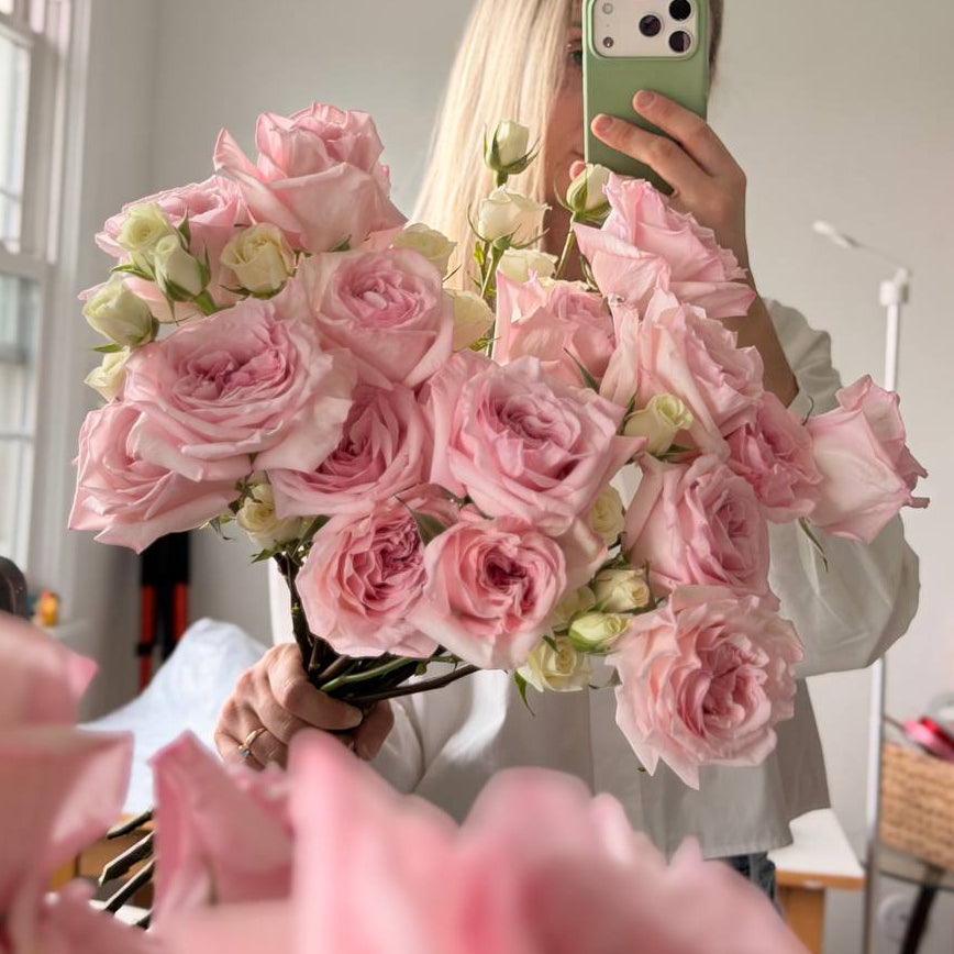 Pink O’Hara Dream