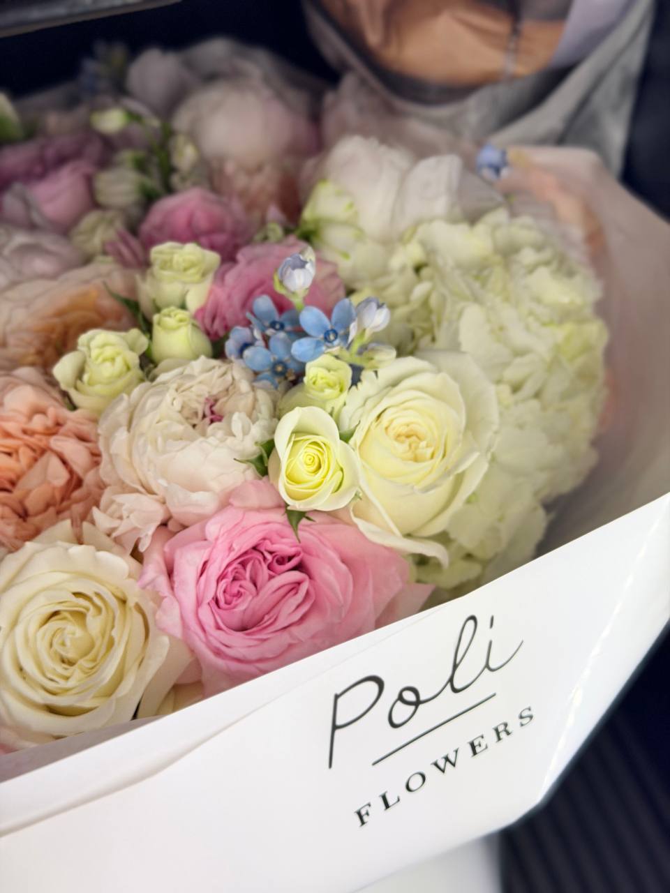 Velvet Petals