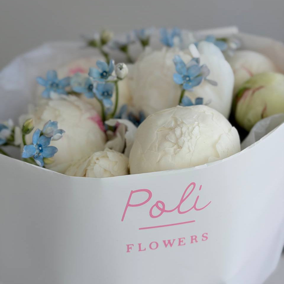 Peonies and Tweedia