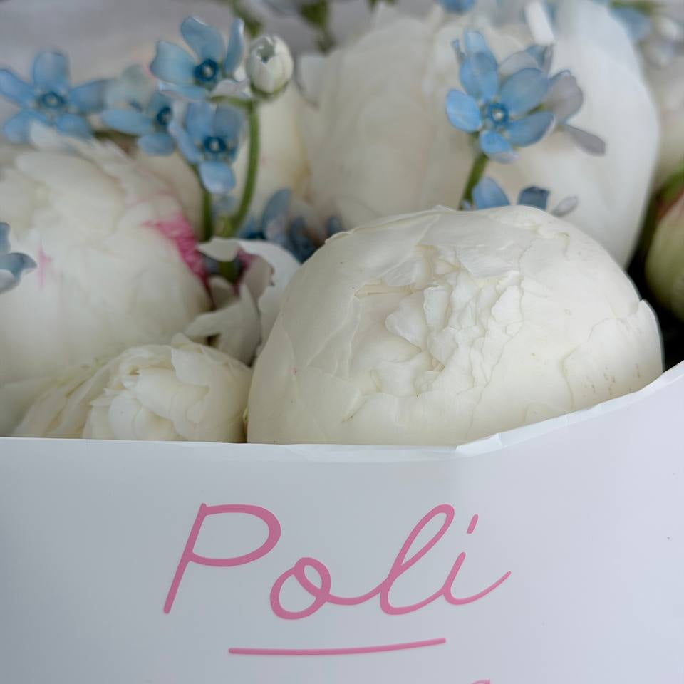 Peonies and Tweedia